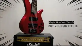 Bass Guitar | Marshall | Intro 