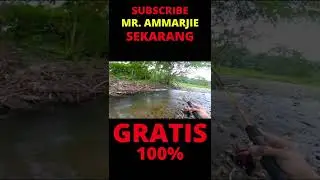 PANCING DIBAWA LARI MASUK KEDALAM KAYU