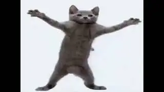 Myew be like ( fnf mod capy )