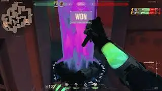 22 years old bronze with no brain