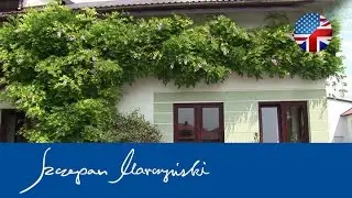 Wisteria - summer pruning