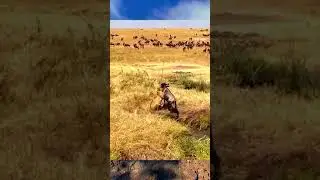Sferra l'attacco, ma non va secondo i piani