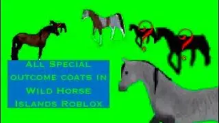 All 6 special outcome horse coats in Wild Horse Island roblox