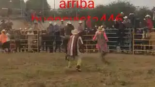 SIGUEN LOS PLEITOS EN JARIPEOS