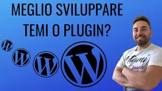 Meglio sviluppare temi o plugin per WordPress?
