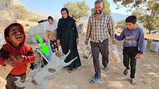 dor