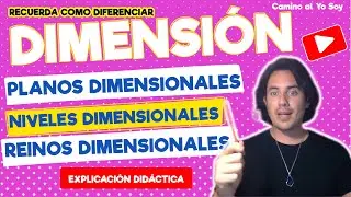 The Dimensions: An Exploration from Different Perspectives | Matias De Stefano