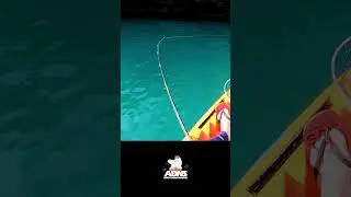 Local secreto de pesca , conta pra ninguém não