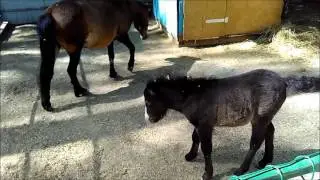 Влог Прогулка в парке/ релакс видео