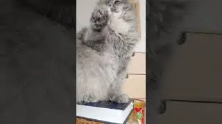 не надо меня трогать этим )))