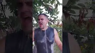 И снова про пятую редакцию #миртьмы #нри #v5