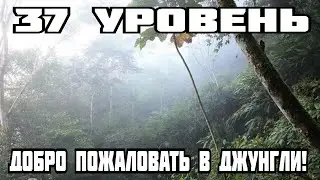 37 уровень - Добро пожаловать в джунгли! (The backrooms)
