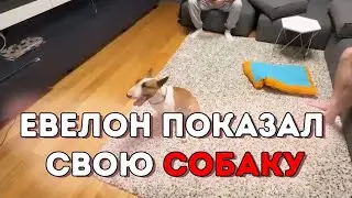 ЕВЕЛОН ПОКАЗАЛ СВОЮ СОБАКУ | EVELON192 RENATKO