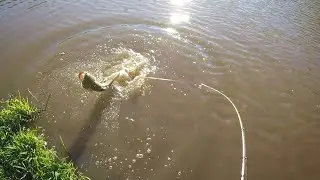 Só as brutas!