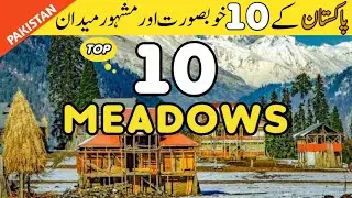 Top 10 most beautiful meadows in Pakistan | Fairy Meadows Pakistan |Ferry Meadows Pakistan | Meadows