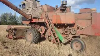 Финиш уборочной страды 2019. Положение дел хоз . от 10.09.2019. Урожайность радует.