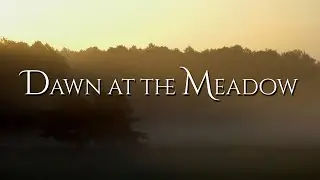 Meadow At Dawn - 1 Hour Live-Recorded - Ambient - No Loop