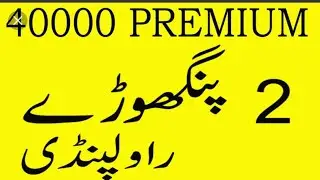Prizebond 40000. City Rawalpindi Vip routine and singal open