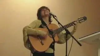 Елена Фролова - Деревянные крылья