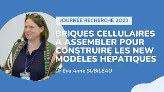 Briques cellulaires à assembler pour construire les new modèles hépatiques - Journée Recherche 2023