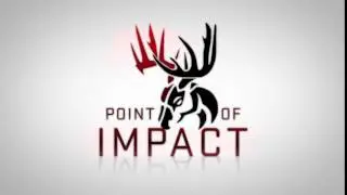 Point Of Impact Logo Animation