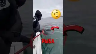 🐙 A sea creature that escaped the net! 