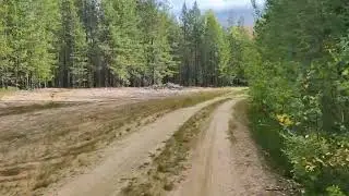 В Новолавеле стоит ясная, теплая погода.