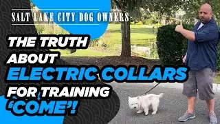 How Salt Lake City Dog Owners Are Humanely Using an E-Collar to Train Their Dog to Come When Called