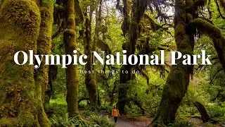 Olympic National Park: The BEST Things To Do & See