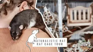 Naturalistic Rat Cage Tour 🐀🌿 | how to SET UP a RAT CAGE
