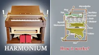 Harmonium - How it works and how it is built  - हरमोनियम बाजा - ハーモニウム