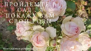 #РОЗЫ