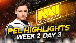 Recrent Carrying Last Map - NAVI at PEL: Day 3, Week 2