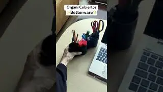 Órgano cubiertos Betterware