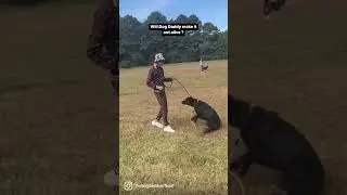 Is This The End For Dog Daddy- The Ending Is UNBELIEVABLE.