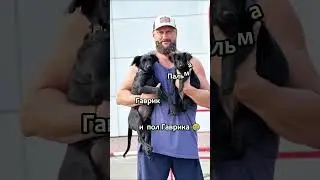 В добрый путь ЮлькиШпилькины детки 💖 