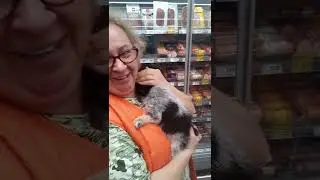 Социализация шалайки до месяца