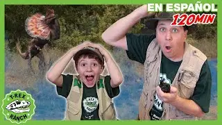 El Gran Tesoro del Vaquero: ¡Vamos a Encontrarlo! | 🦖 T-Rex Rancho | Moonbug Kids - Parque en Vivo!