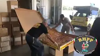 Surprising Tieks Shoes Company W/ a 54