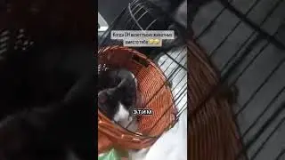 опасные пассажиры#ржака ,#shorts,#приколы