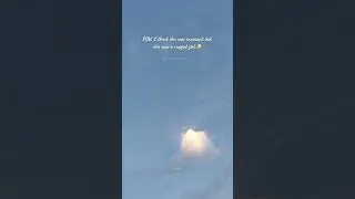 teddy bear..🧸||#tamilwhatsappstatusvideos||#skies.stories_||#shorts