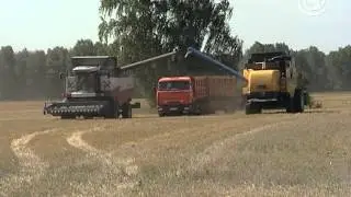 Ранняя уборка - земле отпуск