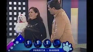 Famosos y Mascotas - Programa 4 | Ecuavisa