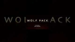 Wolf Pack Boʻrilar Toʻdasi #jam_shid0077