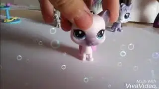 Обзор на семейку котят