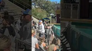 Tom the mime | Watch out! 😬