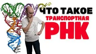 Что такое транспортная РНК? Душкин объяснит