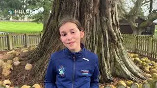 Silvana - From Bermuda to Somerset