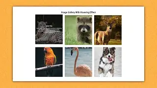 How to Create Image Gallery With Hovering Effect