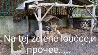 Пражская тржница,романтический ресторан, случайная встреча со зрителем.